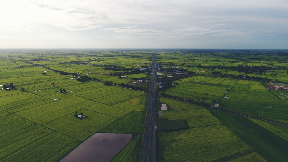 land